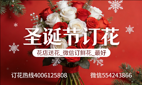 南阳镇平县花店送花_微信订鲜花_圣诞节订花_最好? 南阳镇平县花店