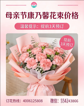 南阳镇平县花店母亲节康乃馨花束