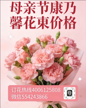 南阳镇平县花店母亲节康乃馨花束